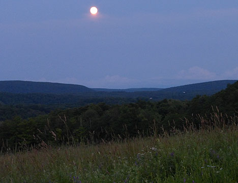 July Full Moon - Buck Moon