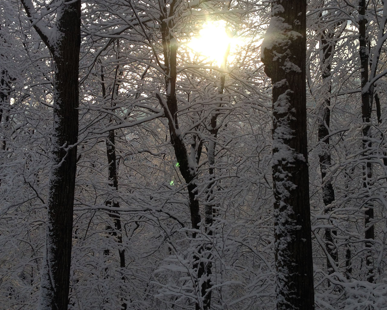 mid-winter-elk-mountain-area