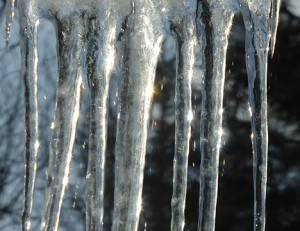 icicles