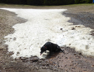 last_taste_of_winter