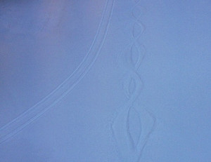 snow_tracks