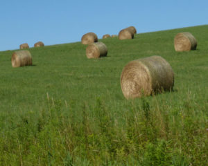 hay_bales